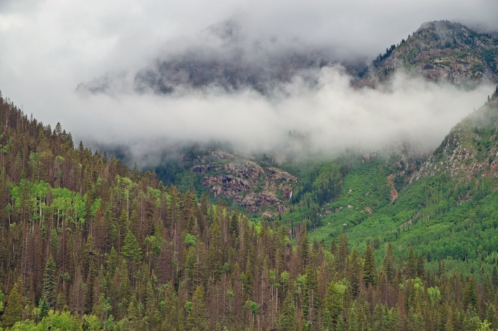 Low clouds early morning heading down valley along Vallecito Creek.